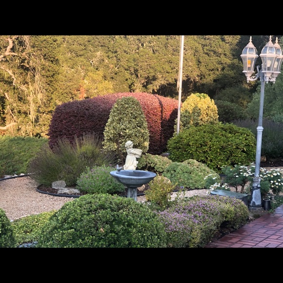 Meet your Posher, Christine and Bridgette🐾 - Picture 7 of 16